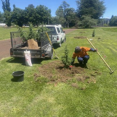 burhor-landscape-services