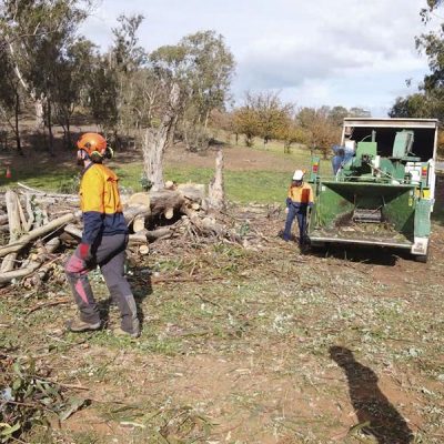 burhor-tree-services